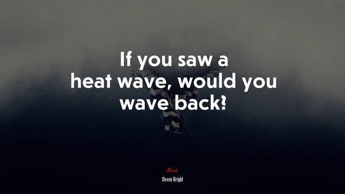 If you saw a heat wave, would you wave back? | Steven Wright quote