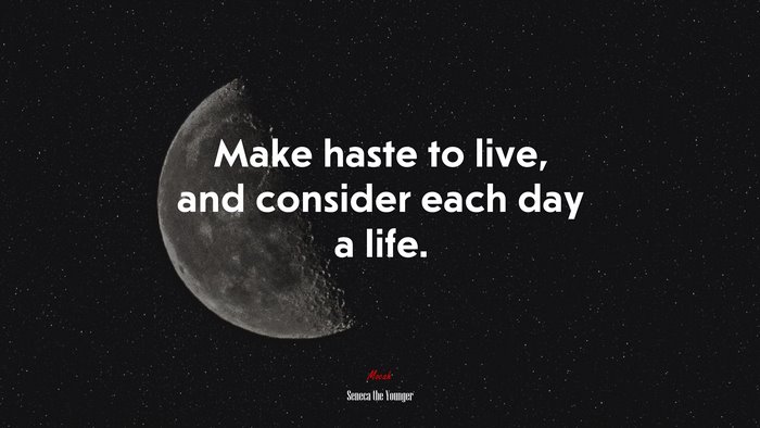 Make haste to live, and consider each day a life. | Seneca the Younger quote