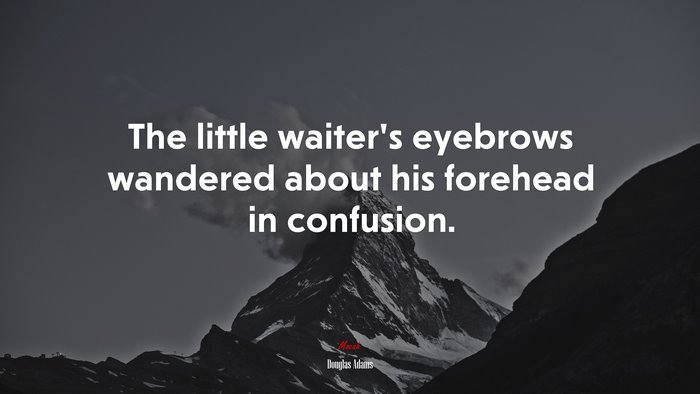 The little waiter’s eyebrows wandered about his forehead in confusion. | Douglas Adams quote
