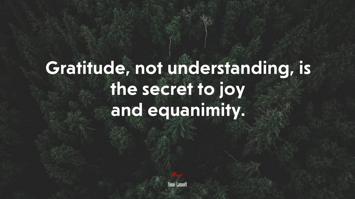 Gratitude, not understanding, is the secret to joy and equanimity. | Anne Lamott quote