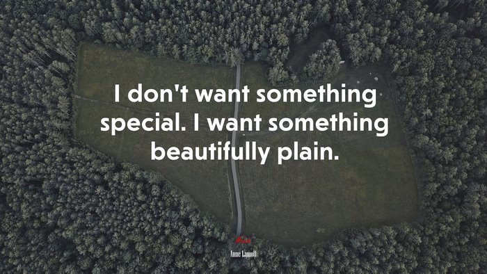 I don’t want something special. I want something beautifully plain. | Anne Lamott quote