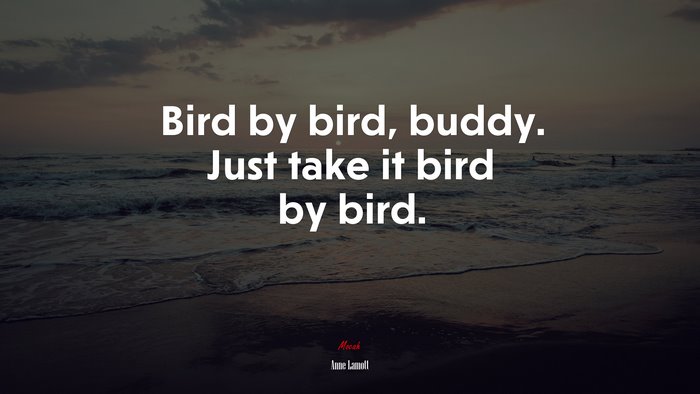 Bird by bird, buddy. Just take it bird by bird. | Anne Lamott quote