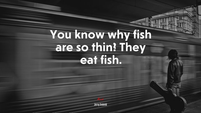 You know why fish are so thin? They eat fish. | Jerry Seinfeld quote
