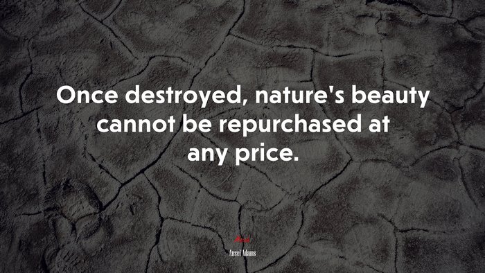 Once destroyed, nature’s beauty cannot be repurchased at any price. | Ansel Adams quote