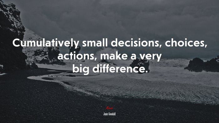 Cumulatively small decisions, choices, actions, make a very big difference. | Jane Goodall quote