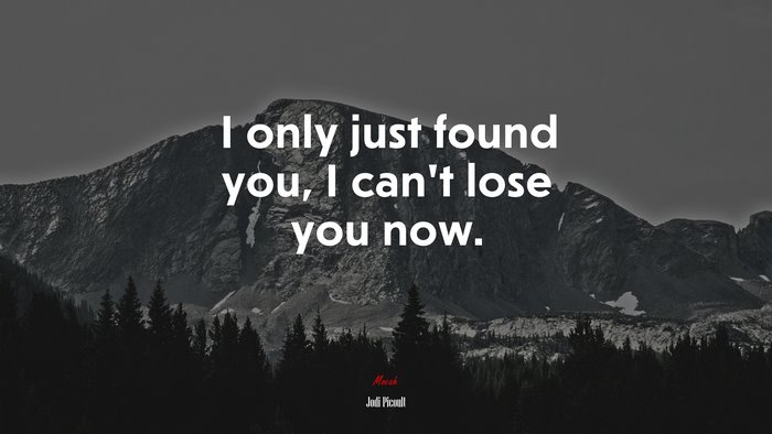 I only just found you, I can’t lose you now. | Jodi Picoult quote