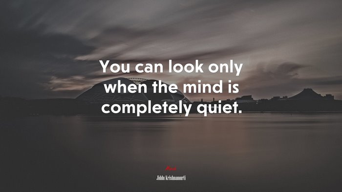 You can look only when the mind is completely quiet. | Jiddu Krishnamurti quote
