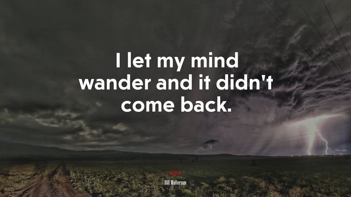 I let my mind wander and it didn’t come back. | Bill Watterson quote