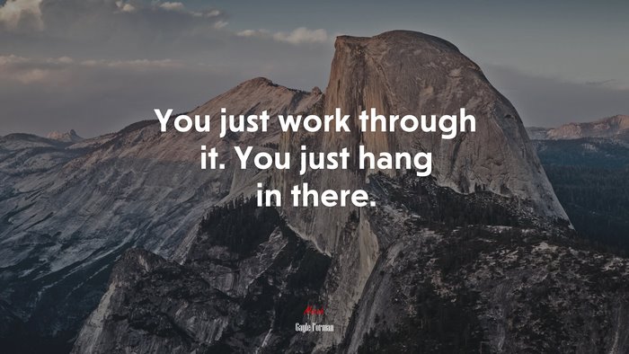 You just work through it. You just hang in there. | Gayle Forman quote