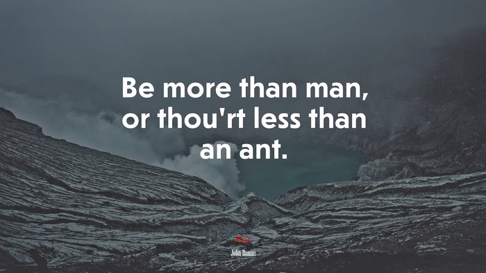 Be more than man, or thou’rt less than an ant. | John Donne quote