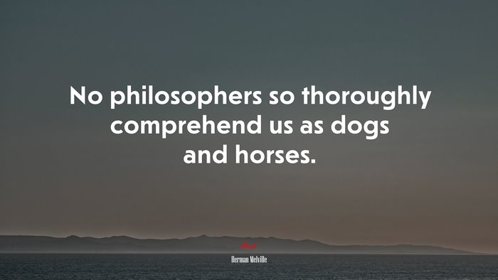 No philosophers so thoroughly comprehend us as dogs and horses. | Herman Melville quote