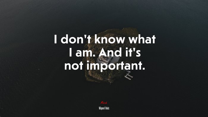 I don’t know what I am. And it’s not important. | Miguel Ruiz quote