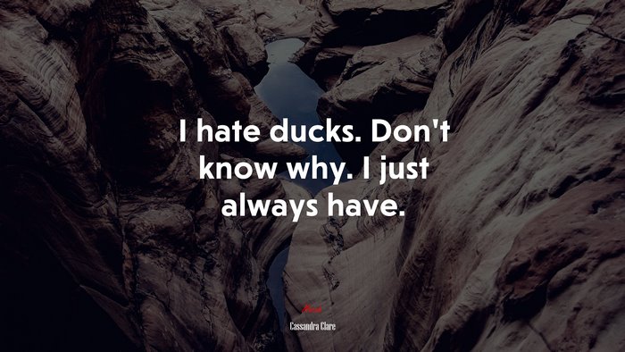 I hate ducks. Don’t know why. I just always have. | Cassandra Clare quote