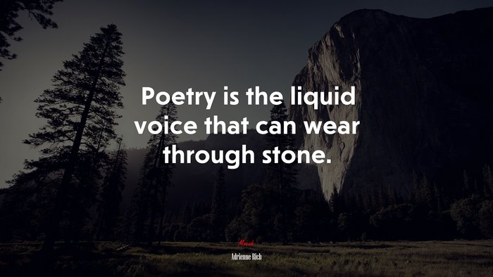 Poetry is the liquid voice that can wear through stone. | Adrienne Rich quote