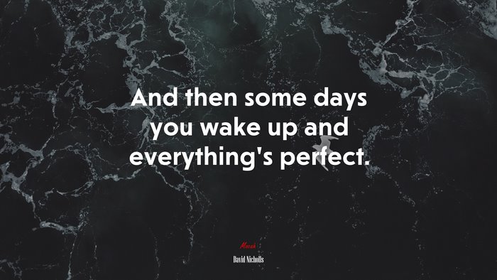 And then some days you wake up and everything’s perfect. | David Nicholls quote