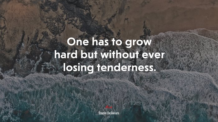 One has to grow hard but without ever losing tenderness. | Ernesto Che Guevara quote