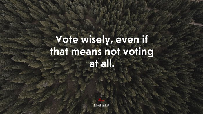 Vote wisely, even if that means not voting at all. | Ashleigh Brilliant quote