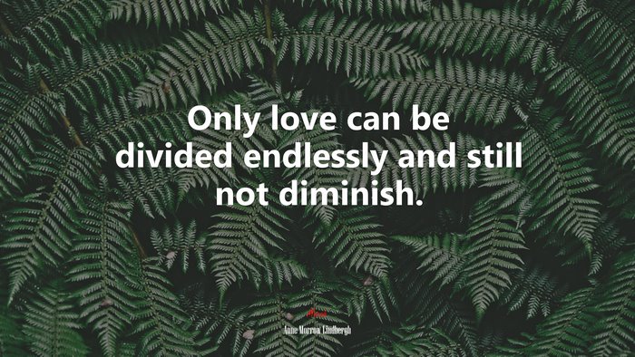 Only love can be divided endlessly and still not diminish. | Anne Morrow Lindbergh quote
