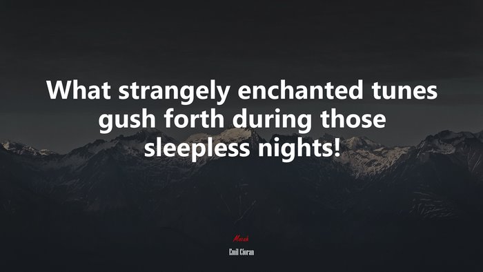 What strangely enchanted tunes gush forth during those sleepless nights! | Emil Cioran quote