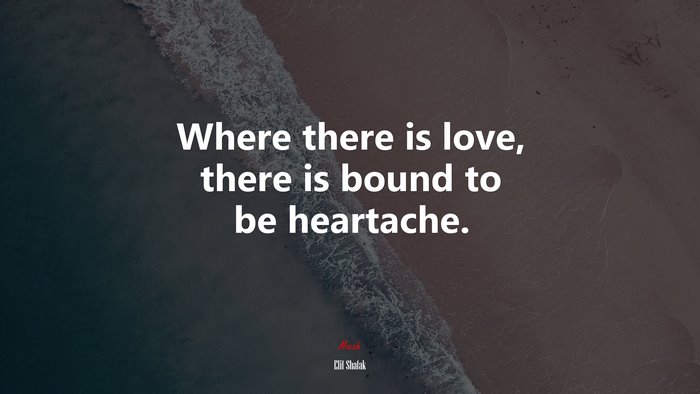 Where there is love, there is bound to be heartache. | Elif Shafak quote