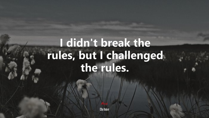 I didn’t break the rules, but I challenged the rules. | Ella Baker quote