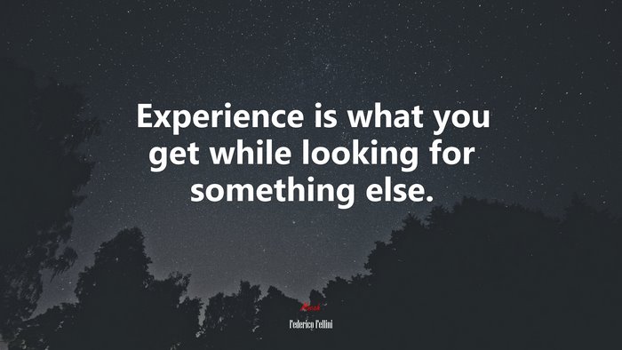 Experience is what you get while looking for something else. | Federico Fellini quote