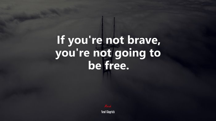 If you’re not brave, you’re not going to be free. | Newt Gingrich quote