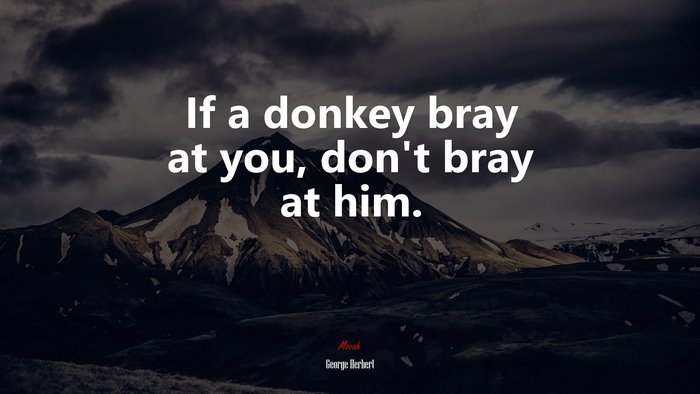 If a donkey bray at you, don’t bray at him. | George Herbert quote