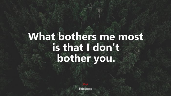 What bothers me most is that I don’t bother you. | Waylon Jennings quote