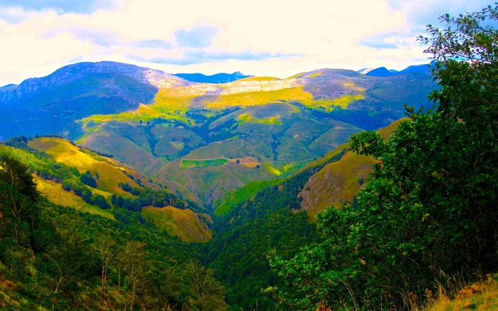 Sunlit mountain valley with green hills and trees