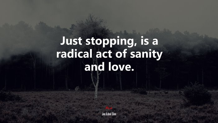 Just stopping, is a radical act of sanity and love. | Jon Kabat-Zinn quote