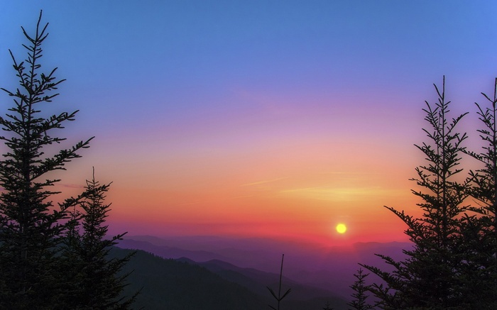 Sunset over mountains with silhouetted pine trees