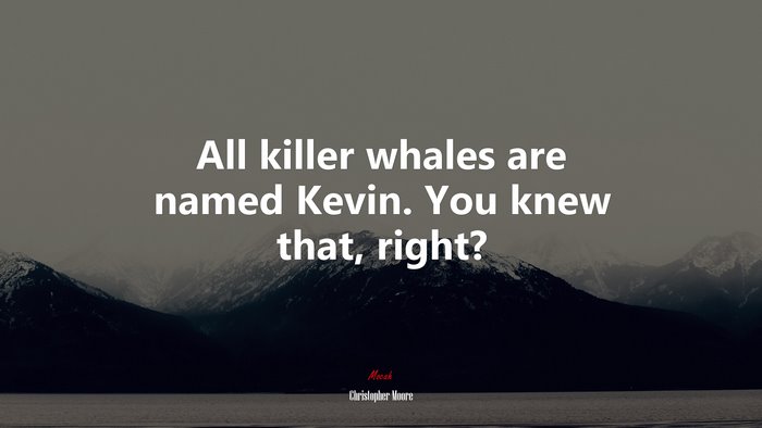 All killer whales are named Kevin. You knew that, right? | Christopher Moore quote