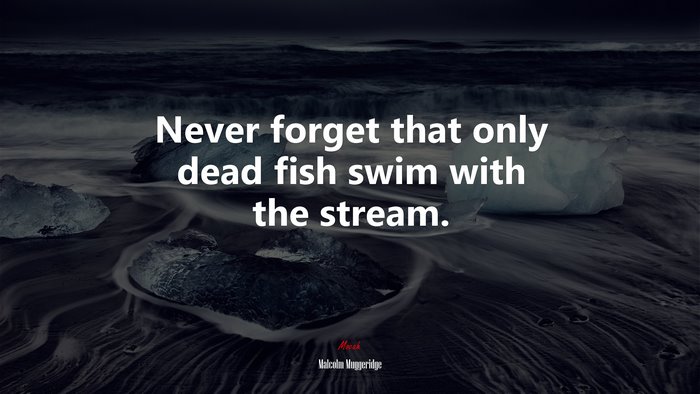 Never forget that only dead fish swim with the stream. | Malcolm Muggeridge quote