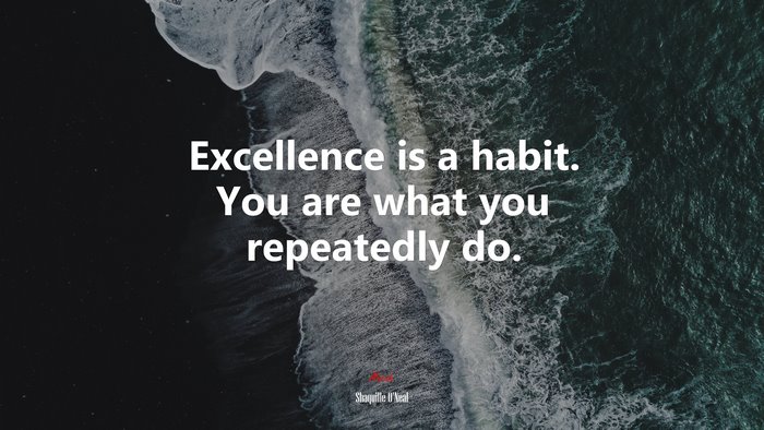 Excellence is a habit. You are what you repeatedly do. | Shaquille ONeal quote