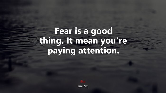 Fear is a good thing. It mean you’re paying attention. | Tamora Pierce quote