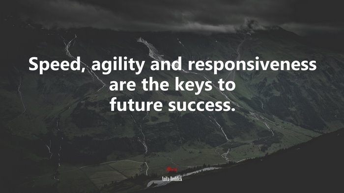 Speed, agility and responsiveness are the keys to future success. | Anita Roddick quote