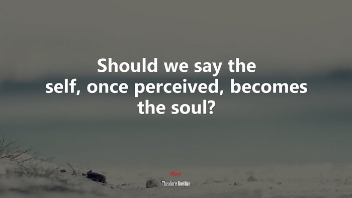 Should we say the self, once perceived, becomes the soul? | Theodore Roethke quote