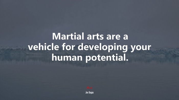 Martial arts are a vehicle for developing your human potential. | Joe Rogan quote