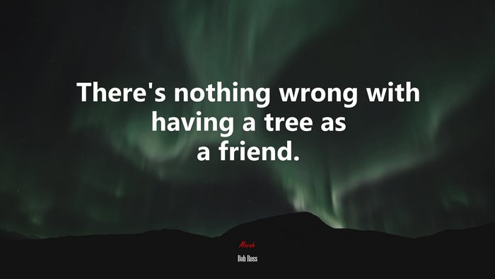 There’s nothing wrong with having a tree as a friend. | Bob Ross quote