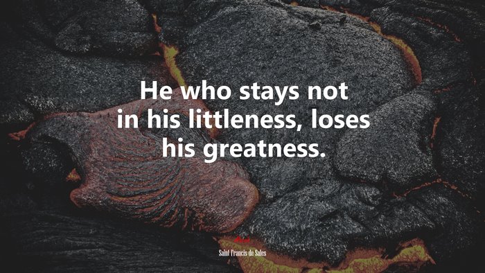 He who stays not in his littleness, loses his greatness. | Saint Francis de Sales quote