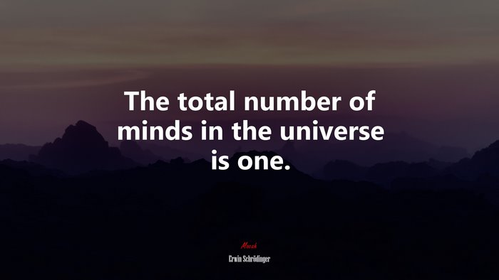 The total number of minds in the universe is one. | Erwin Schrödinger quote