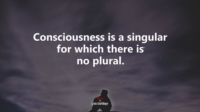 Consciousness is a singular for which there is no plural. | Erwin Schrödinger quote