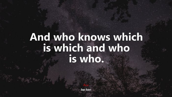 And who knows which is which and who is who. | Roger Waters quote