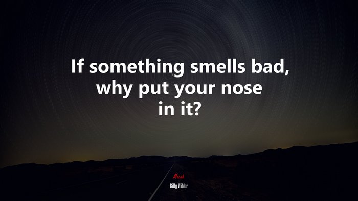 If something smells bad, why put your nose in it? | Billy Wilder quote