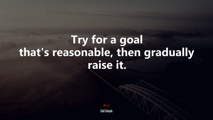 Try for a goal that’s reasonable, then gradually raise it. | Emil Zatopek quote