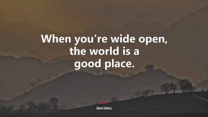 When you’re wide open, the world is a good place. | Sharon Salzberg quote