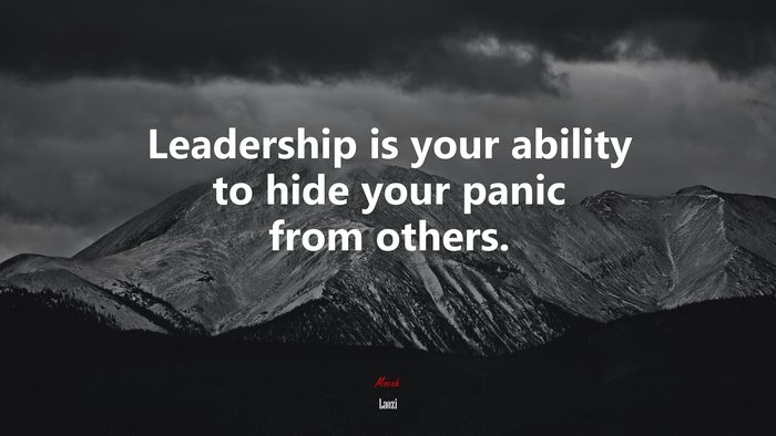 Leadership is your ability to hide your panic from others. | Laozi quote