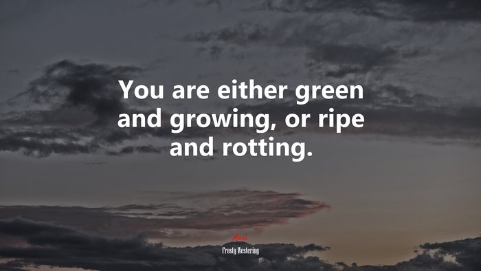 You are either green and growing, or ripe and rotting. | Frosty Westering quote