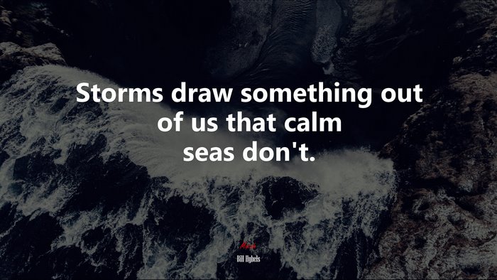 Storms draw something out of us that calm seas don’t. | Bill Hybels quote